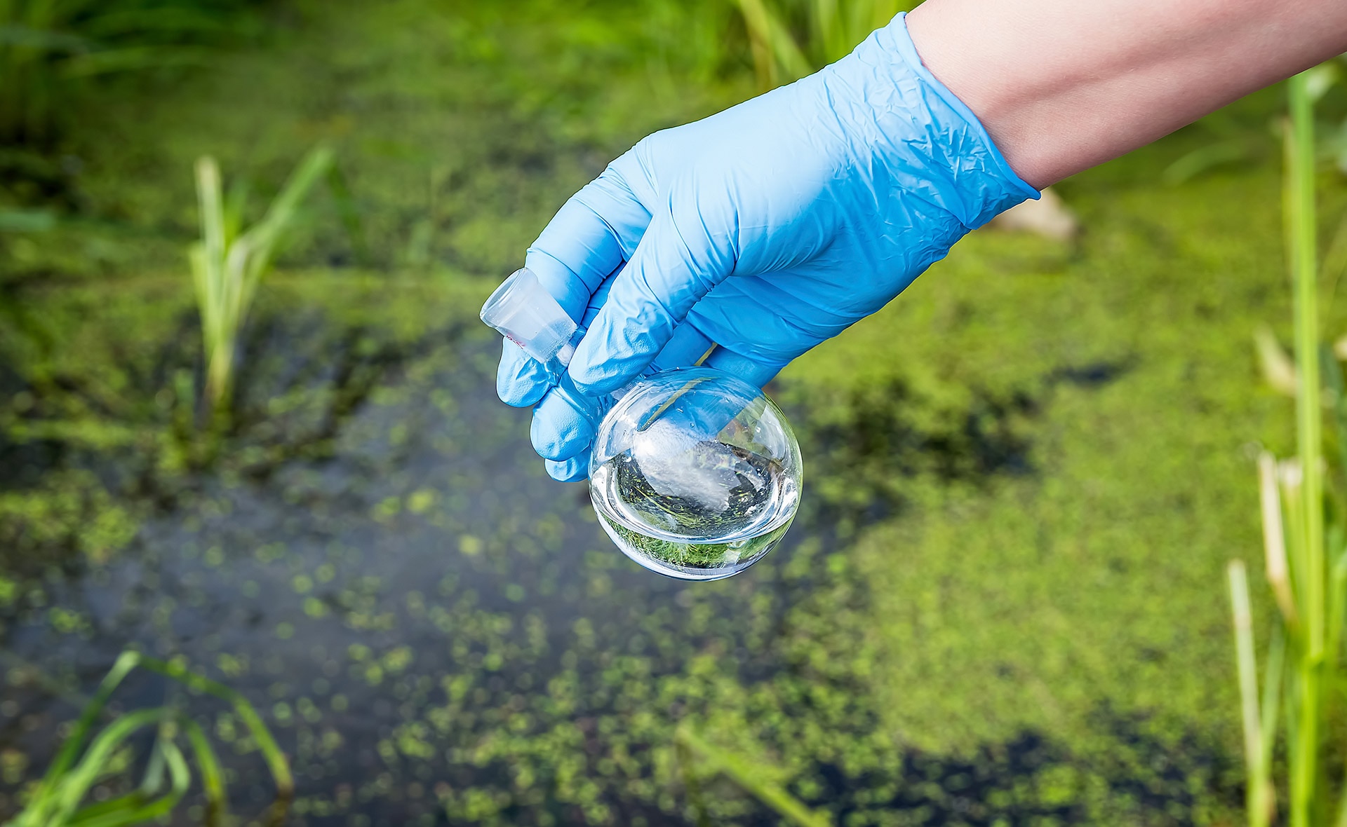biotecnología-ambiental-sostenibilidad-hub-bbva-ciencia-investigacion-cultivo