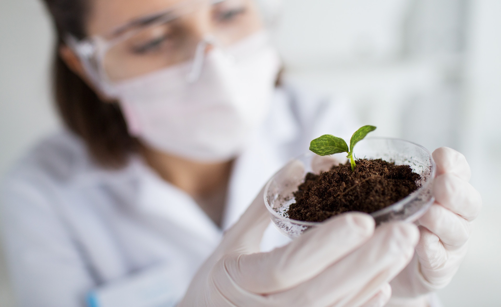 biotecnología_innovacion-bbva-medioambiente-avances-sostenibilidad