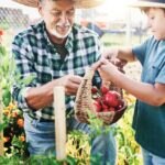 futuro_sostenible_alimentos-cultivo-agricultura-huerto- futuro_sostenible_alimentos-cultivo-agricultura-huerto-
