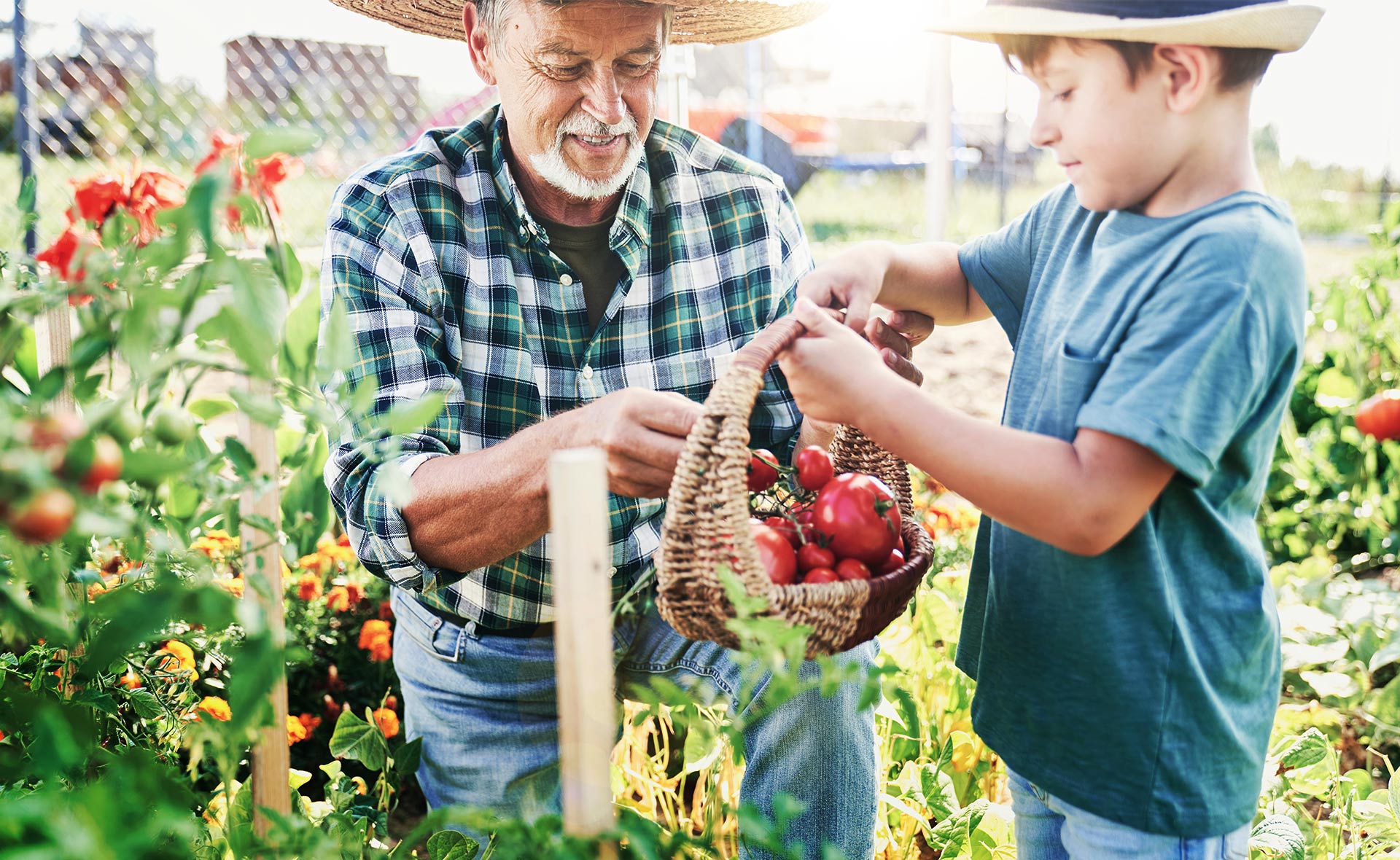 futuro_sostenible_alimentos-cultivo-agricultura-huerto-