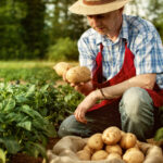 gastronomia-sostenible-BBVA-alimentos-orgánicos