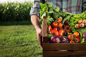 huerto-comida-proximidad-bbva-gastronomia-sostenible-produccion-local
