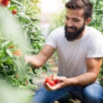 productores_bio_tomates-huerta-recoleccion-sostenibidad-alimentos-invernadero