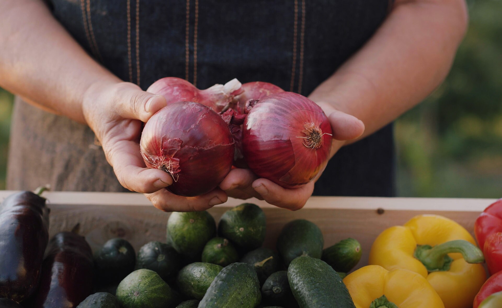 productores_bio_gastronomia-sostenibilidad-alimentos-cebollas-pimientos-cesta-