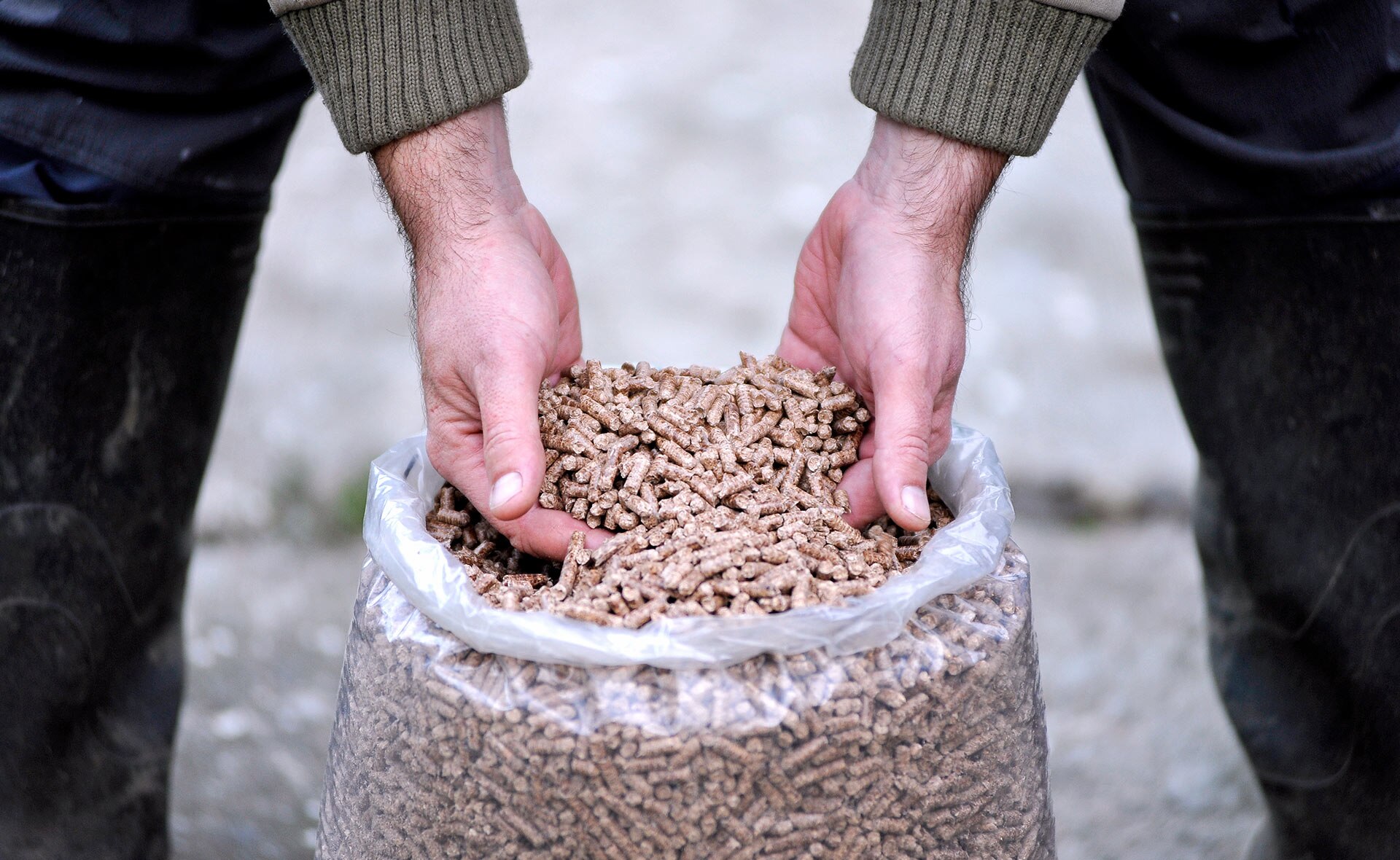 sostenibilidad-BBVA-Calderas-de-biomasa-una-segunda-vida-sostenible-residuos-vegetales sostenibilidad-BBVA-Calderas-de-biomasa-una-segunda-vida-sostenible-residuos-vegetales