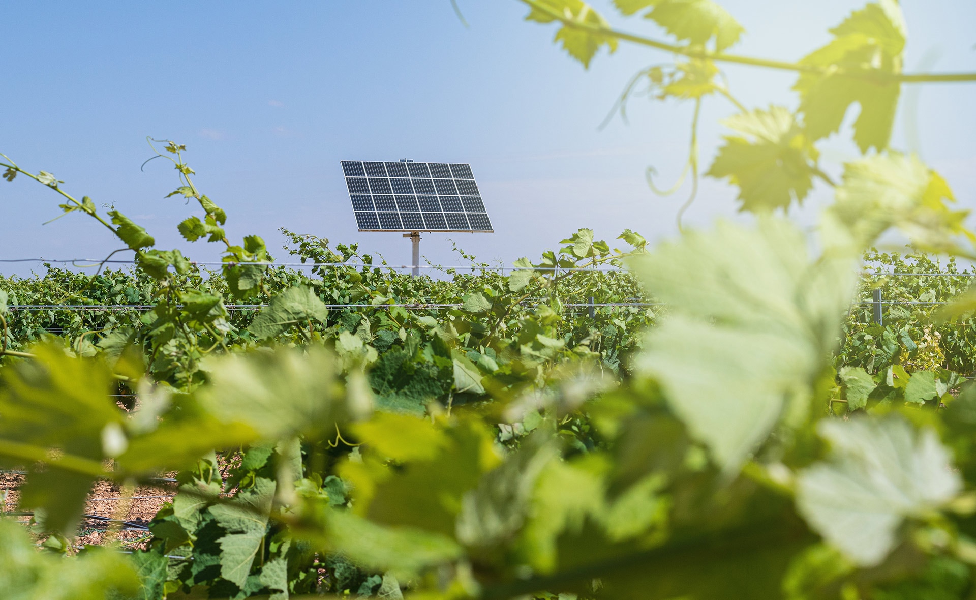 Paneles Solares