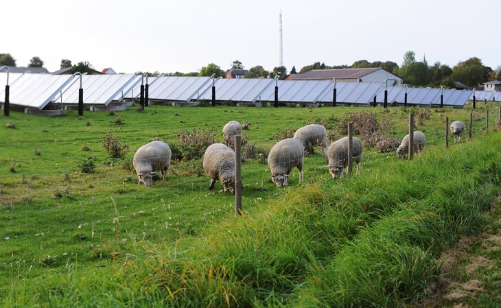 BBVA-agroviltaica-cultivos-sostenibilidad-medioambiente-placas-agricultura Cultivos y energía solar, una radiante (y sostenible) simbiosis
