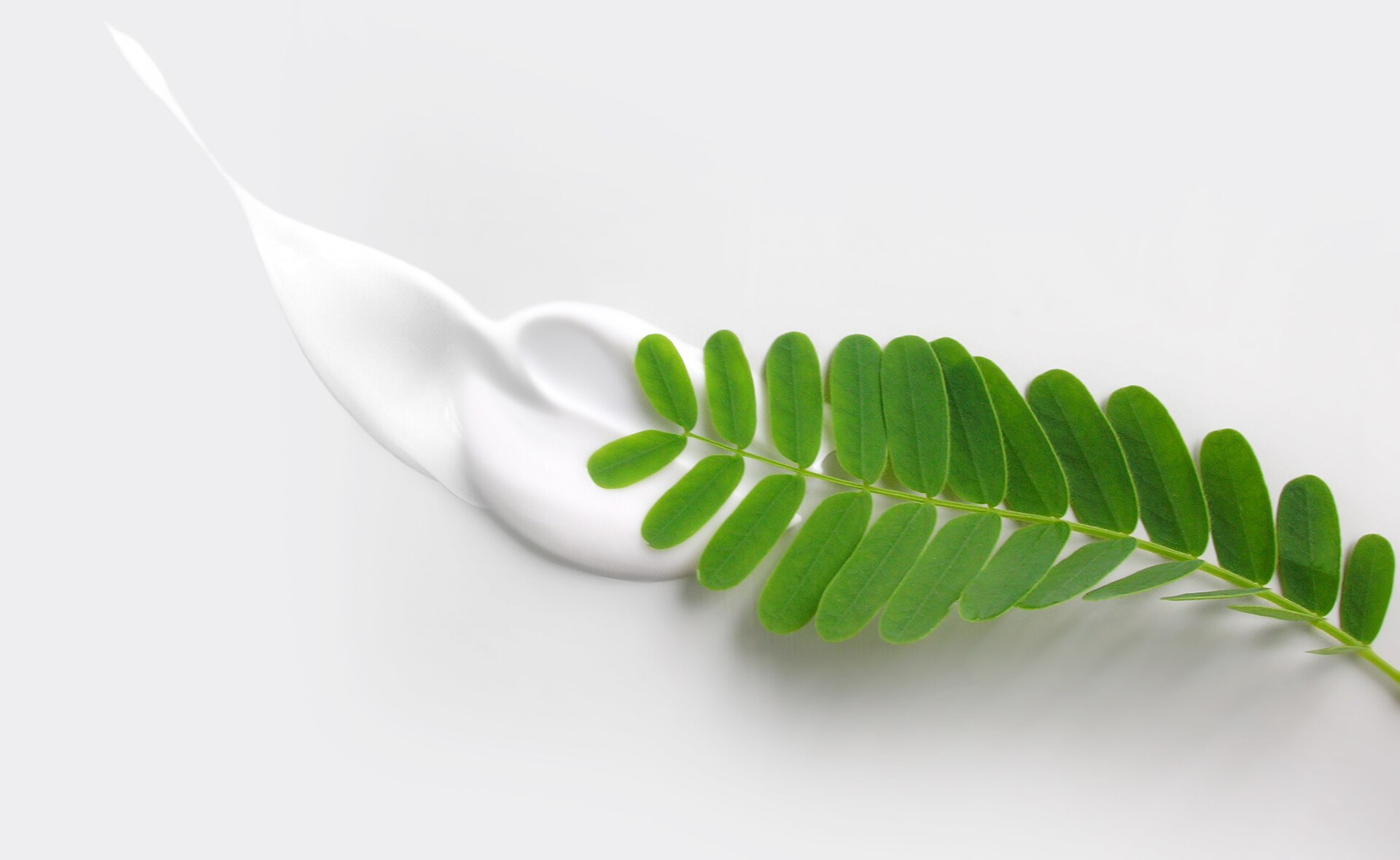 BBVA-cosmetica-ecologica-sostenibilidad-hoja-naturaleza-plantas-herbolario-medioambiente La cosmética ecológica y sus beneficios para la salud y el medioambient