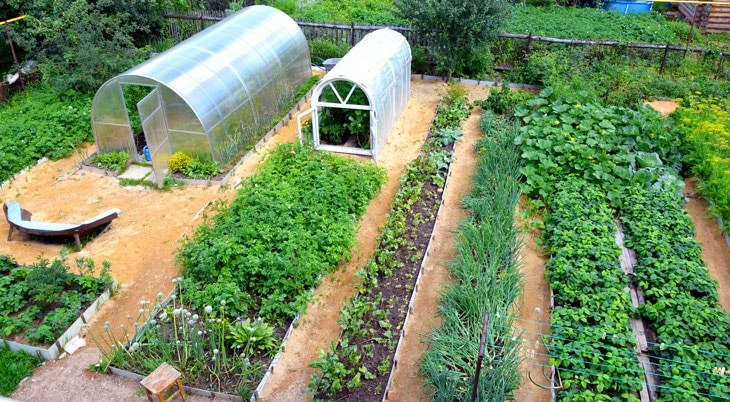 Consejos para construir un invernadero y ser un buen agricultor doméstico