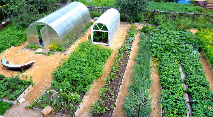 BBVA-invernadero-domestico-sostenibilidad-cultivo Consejos para construir un invernadero y ser un buen agricultor doméstico