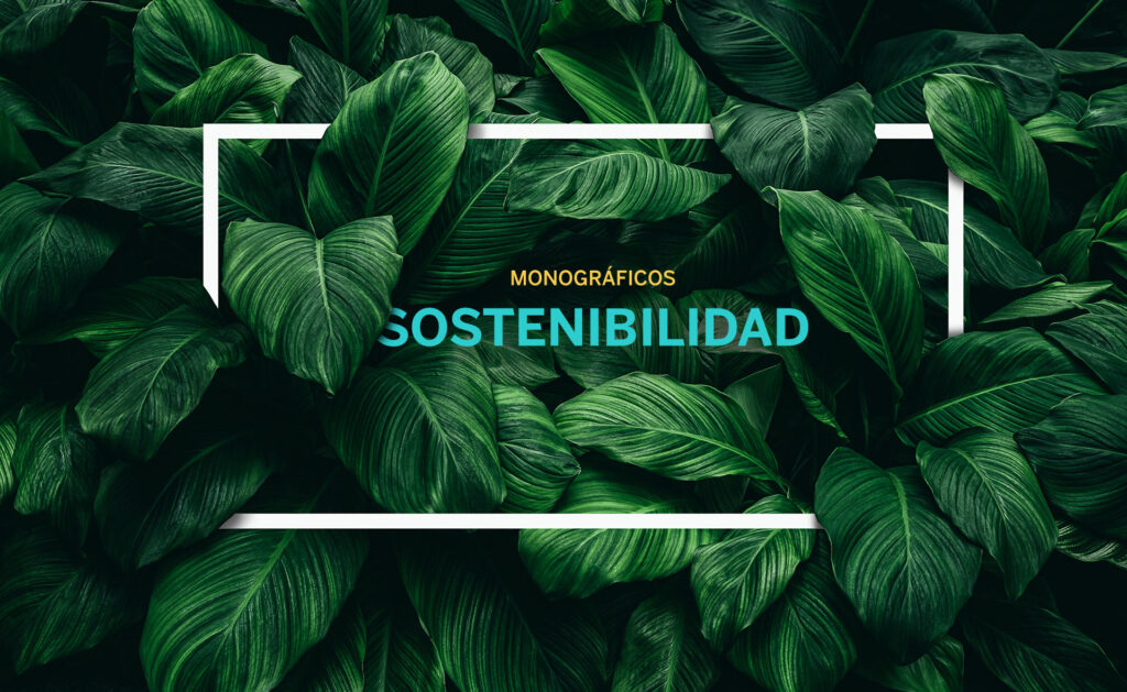 BBVA-monograficos-sostenibilidad Descubre los monográficos sobre sostenibilidad de BBVA