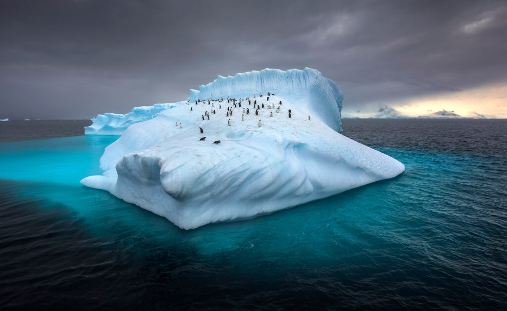 BBVA-proteger-especies-salvar-planeta-sostenibilidad-artico-hielo-frio-cuidado-medioambiente BBVA-proteger-especies-salvar-planeta-sostenibilidad-artico-hielo-frio-cuidado-medioambiente