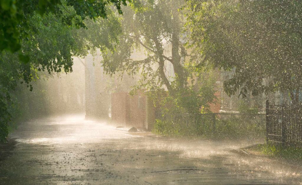bbva-tiempo-futuro-cambio-climatico-forestal-deforestacion-incendios-catastrofe-ntaural-sostenibilidad El tiempo que viene: así son los eventos climáticos compuestos