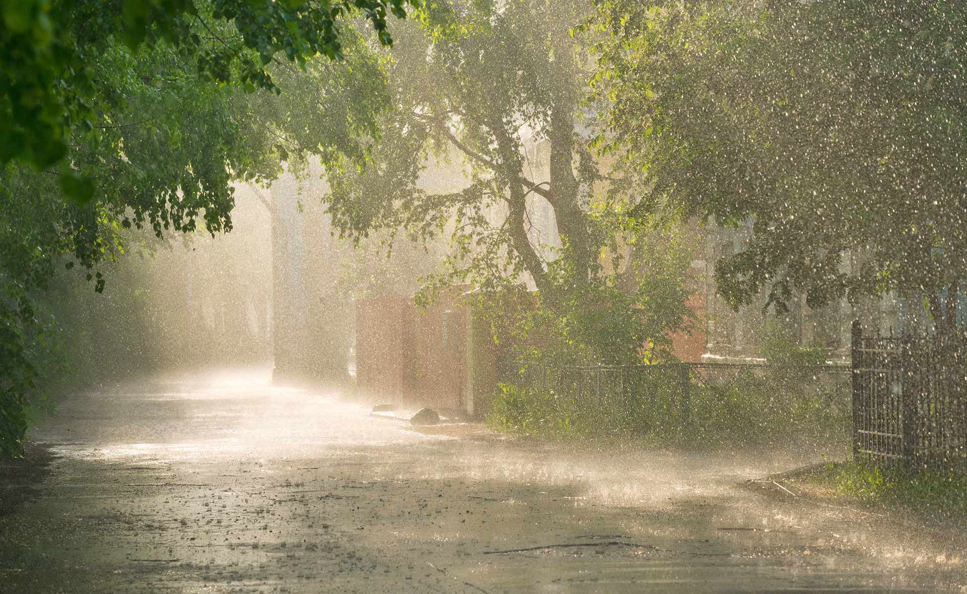 bbva-tiempo-futuro-cambio-climatico-forestal-deforestacion-incendios-catastrofe-ntaural-sostenibilidad El tiempo que viene: así son los eventos climáticos compuestos