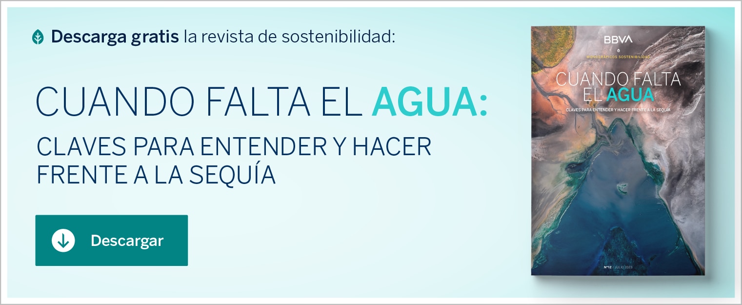 Cuando el agua falta: claves para entender y hacer frente a la sequía