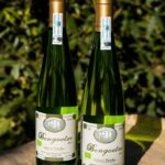 txakoli-bengoetxe-gastronomia-sostenible-BBVA-josep-roca txakoli-bengoetxe-gastronomia-sostenible-BBVA-josep-roca