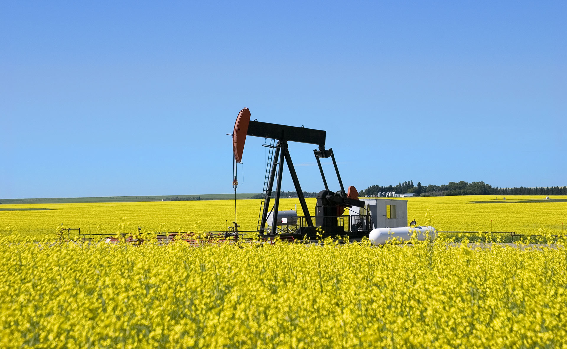 Biocombustibles-diferencias-biodiésel-bioetanol-sostenibilidad-maquinaria-industria-campo Biocombustibles: ¿Cuáles son las diferencias entre el biodiésel y el bioetanol?