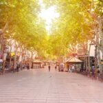 BBVA financiará la rehabilitación de edificios en Cataluña para mejorar la eficiencia energética
