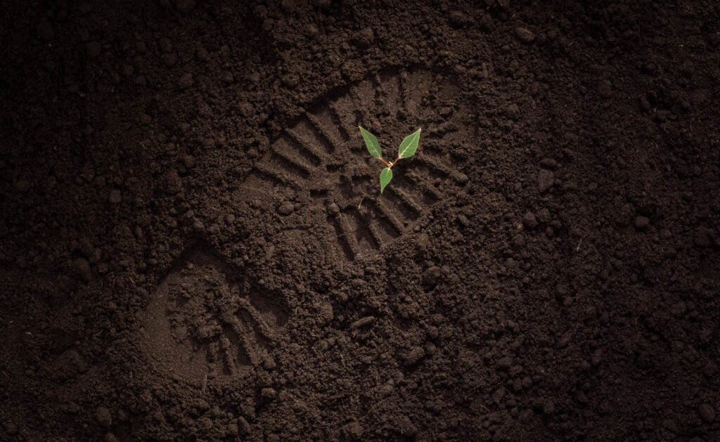 suelo_tierra-bbva-sostenibilidad-huella-tierra-naturaleza-cultivos-medioambiente-siembra- ¿Conoces el suelo por donde pisas? Es el momento de cuidarlo
