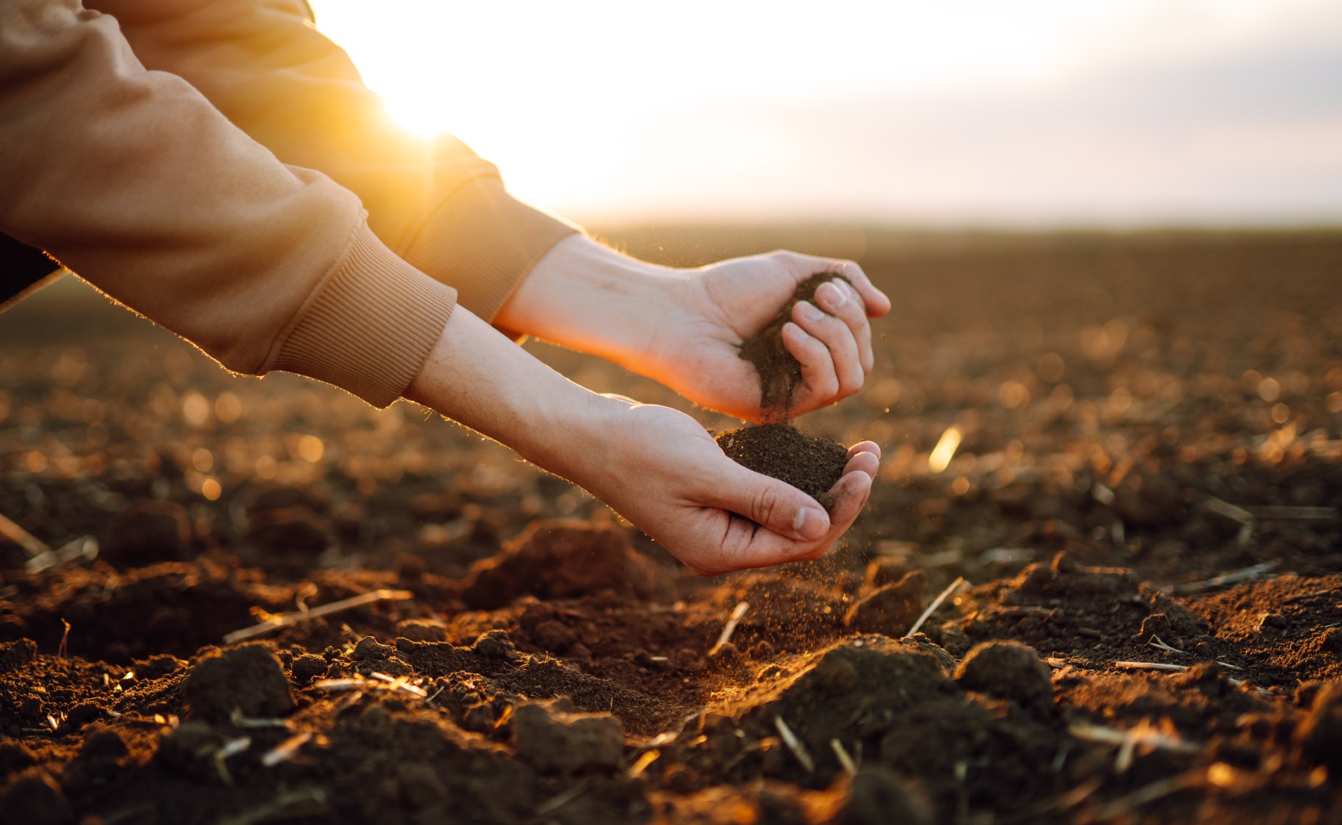 suelo_tierra-bbva-sostenibilidad-huella-tierra-naturaleza-cultivos-medioambiente-siembra- ¿Conoces el suelo por donde pisas? Es el momento de cuidarlo