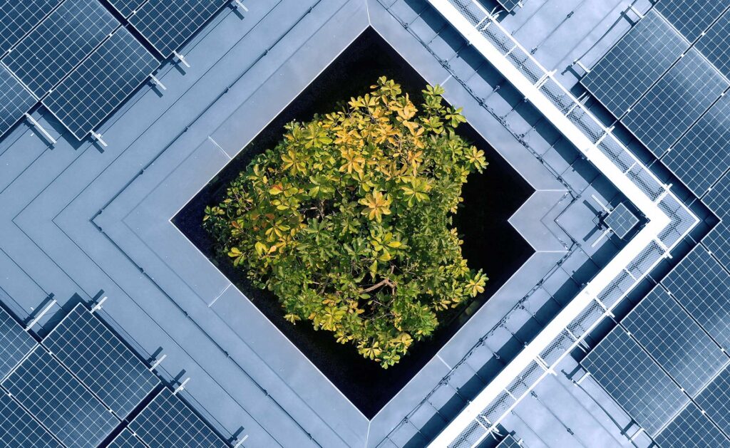 BBVA Asset Management gana el premio CFI a la mejor estrategia sostenible global BBVA Asset Management gana el premio CFI a la mejor estrategia sostenible global