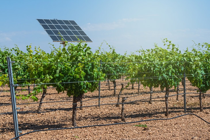 La combinación de paneles fotovoltaicos y cultivos o ganadería se ha convertido en una tendencia en los últimos años. Cada vez se ensayan más instalaciones de este tipo, denominadas agrovoltaicas, que permiten un uso compartido del suelo. Agrovoltaica: cultivos a la sombra de los paneles fotovoltaicos