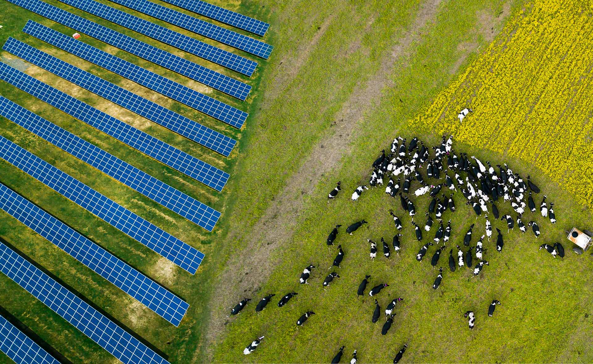 La combinación de paneles fotovoltaicos y cultivos o ganadería se ha convertido en una tendencia en los últimos años. Cada vez se ensayan más instalaciones de este tipo, denominadas agrovoltaicas, que permiten un uso compartido del suelo. Agrovoltaica: cultivos a la sombra de los paneles fotovoltaicos
