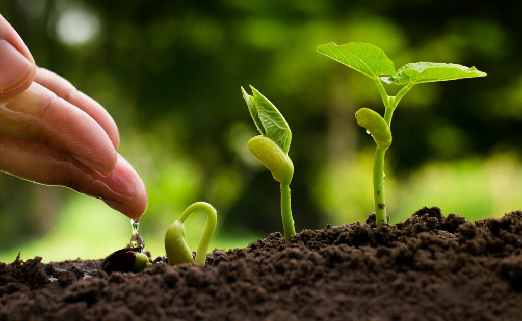 La inversión sostenible, la que tiene un impacto en el medioambiente y la sociedad, es el futuro. La mayoría de organismos internacionales apuestan por ella y recomiendan una serie de principios y estándares para fomentarla. Invertir en empresas responsables forma ya parte de la nueva economía. ¿Qué es la inversión sostenible y cuáles son sus beneficios?