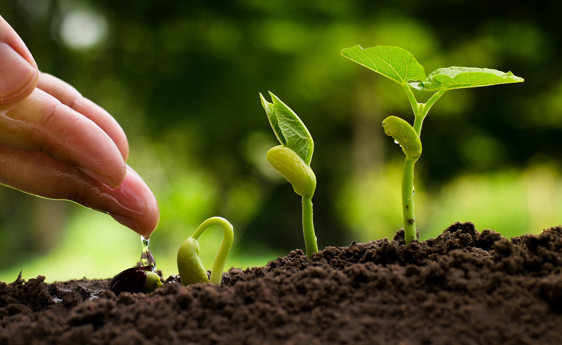 La inversión sostenible, la que tiene un impacto en el medioambiente y la sociedad, es el futuro. La mayoría de organismos internacionales apuestan por ella y recomiendan una serie de principios y estándares para fomentarla. Invertir en empresas responsables forma ya parte de la nueva economía. ¿Qué es la inversión sostenible y cuáles son sus beneficios?