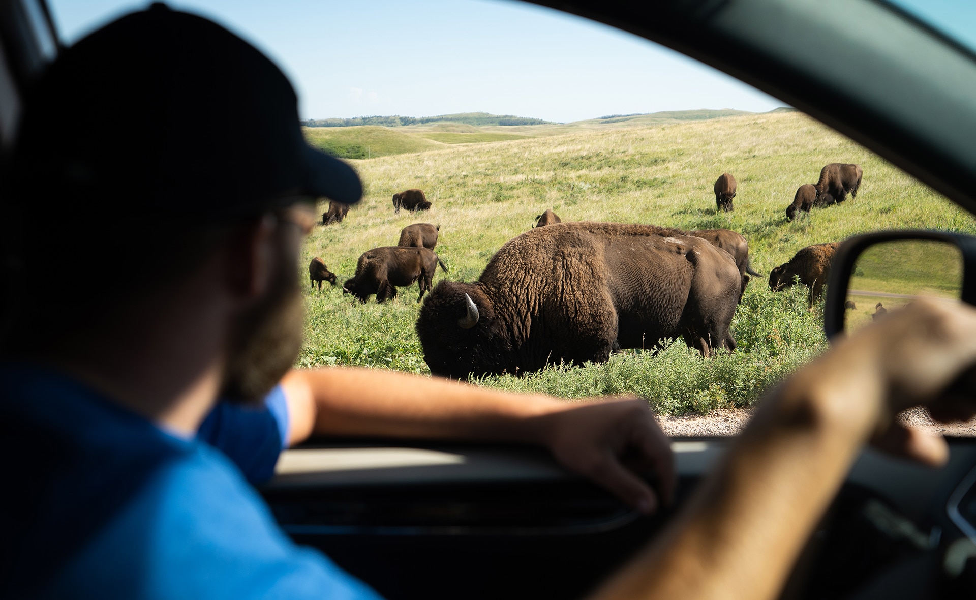 En marzo de 1872, los casi 9.000 km2 de Yellowstone, en EE. UU., se convirtieron en el primer parque nacional del planeta. Hoy existen más de 6.000 en casi 100 países. En España hay 16. El primero de ellos, lo que hoy se conoce como Picos de Europa, es de 1918. El primer parque nacional del mundo cumple 150 años