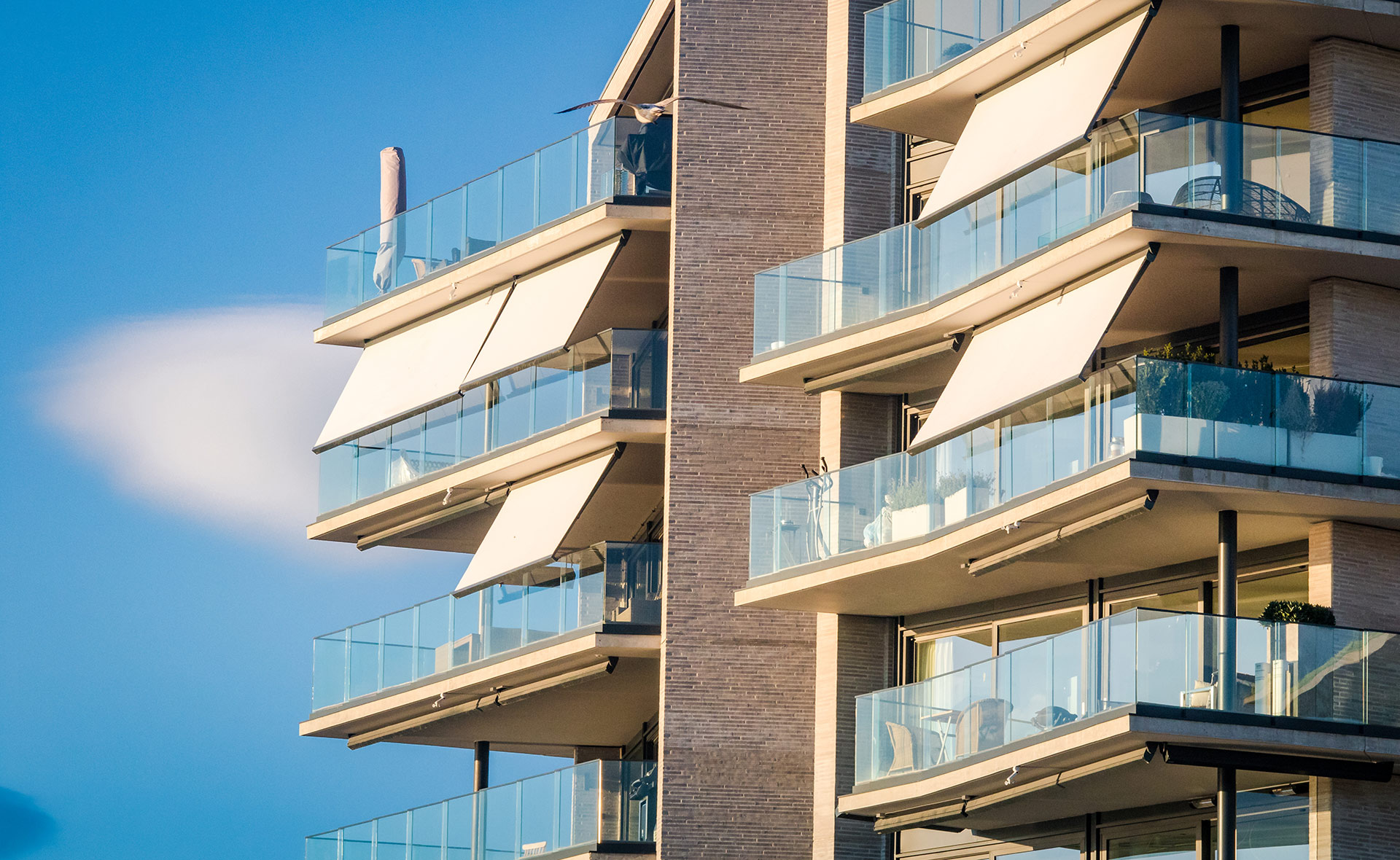 Es un sistema tan sencillo como eficaz, un clásico de las fachadas. Al bloquear la exposición directa al sol, reduce la temperatura interior de la vivienda y ayuda a la sostenibilidad del hogar ya que reduce el gasto de energía. Conviene elegir un buen tejido, el color adecuado y el tipo de estructura según presupuesto, desde el despliegue manual a la programación domótica. Toldos solares: ¿Cuánto reducen la temperatura (y el consumo) en tu hogar?