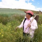 Blanca Cecilia Campos, emprendedora de la FMBBVA en Colombia, se dedica al cultivo de patatas y avena