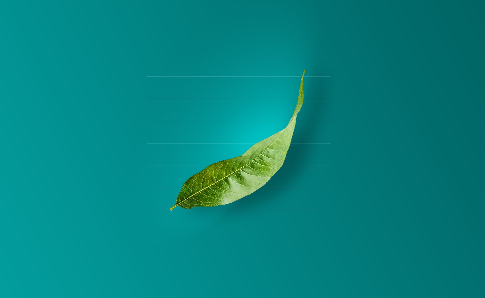 Cómo evaluar en términos de sostenibilidad a las mayores empresas del planeta. A esta cuestión respondió en 1999 el Dow Jones Sustainability Index, un índice que en su última edición ha examinado 323 grandes compañías. Al principio, pocas empresas estaban interesadas en salir en este estricto ranking; hoy, la sostenibilidad es inevitable. ¿Sabes qué es el índice Dow Jones Sustainability Index?