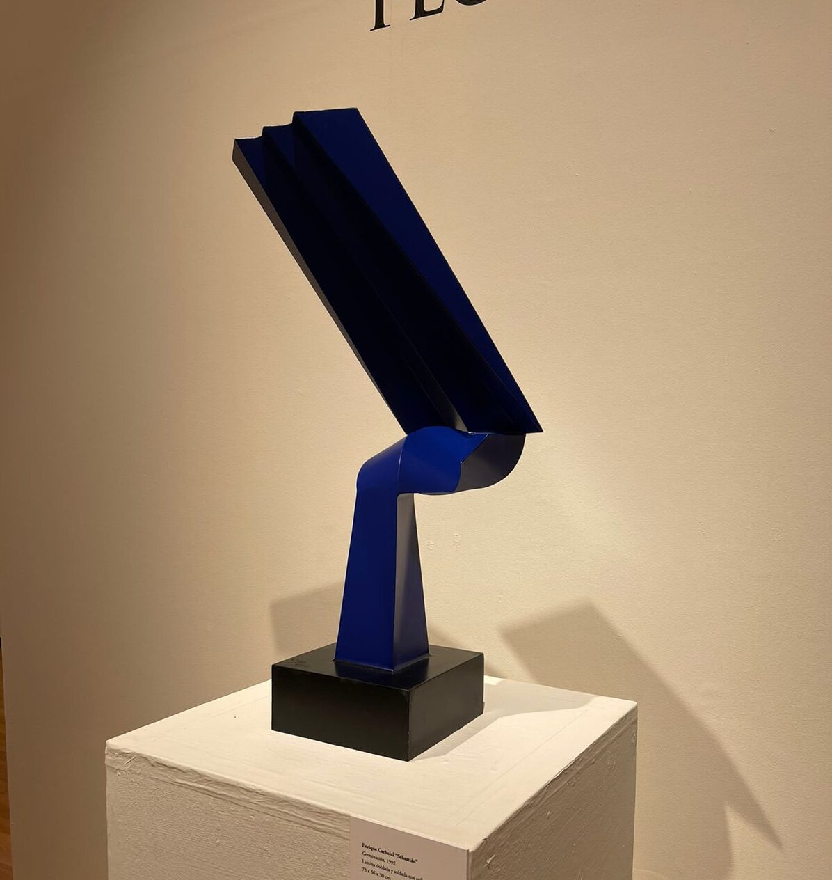 Enrique Carbajal Sebastián Germinación 1992 Enrique Carbajal Sebastián)