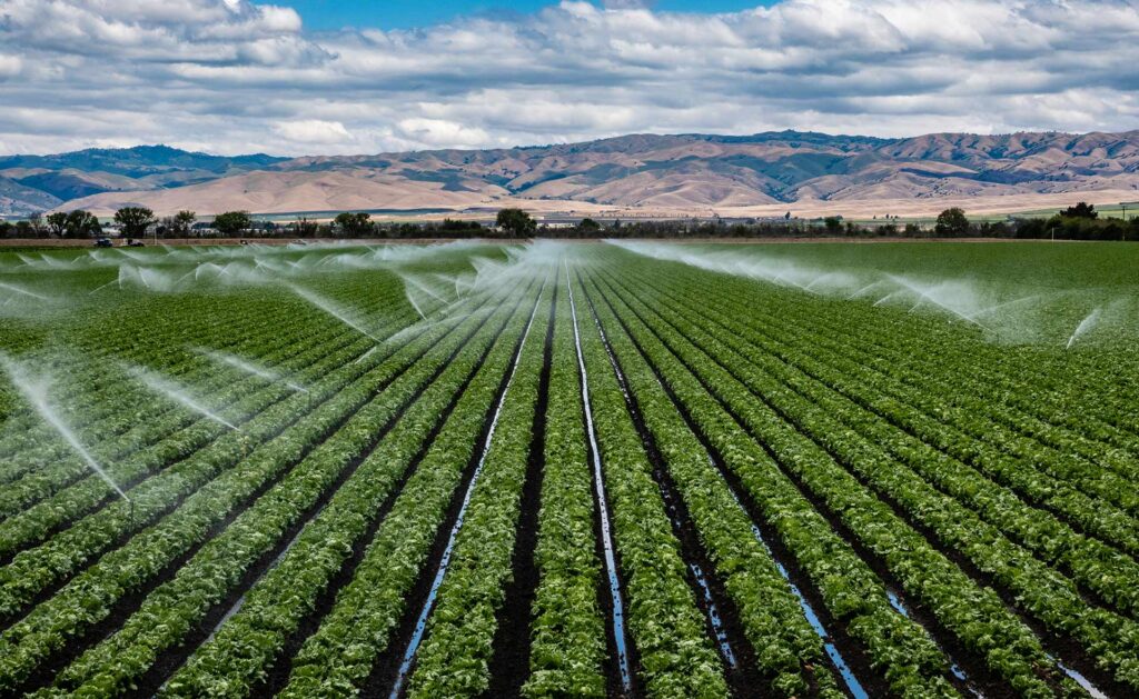 Regando y fertilizando los cultivos desde una única instalación, así funciona un equipo de fertirriego. Un sistema más sostenible que reduce costes e impacto ambiental y mejora la eficiencia de los recursos. El sector agrícola se une a la innovación para transformarse. Un impulso más para cuidar del planeta. Fertirriego, dos pasos en uno para el cultivo sostenible