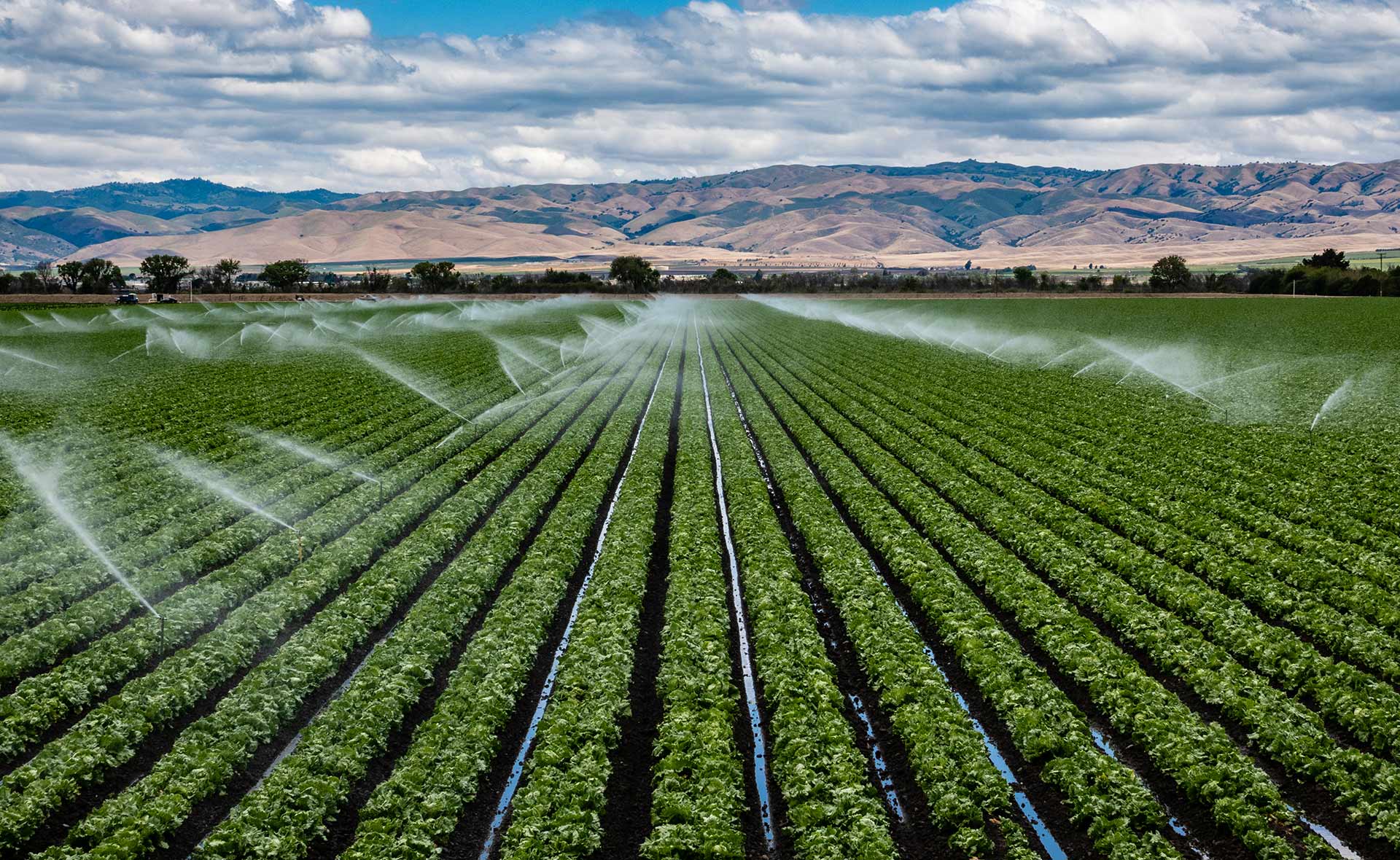 Regando y fertilizando los cultivos desde una única instalación, así funciona un equipo de fertirriego. Un sistema más sostenible que reduce costes e impacto ambiental y mejora la eficiencia de los recursos. El sector agrícola se une a la innovación para transformarse. Un impulso más para cuidar del planeta. Fertirriego, dos pasos en uno para el cultivo sostenible