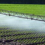 Los sistemas de riego tradicionales como el surco o el riego por inundación han ido dando paso a la aspersión -que deja caer el agua sobre los cultivos en una suerte de lluvia-, y al goteo -la tecnología más eficiente, puesto que implica aplicar la dosis justa directamente a las raíces de las plantas-. Descubre más sobre los tipos de riego. Tipos de riego: hacia un sistema más sostenible y eficiente