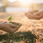 Podcast Futuro Sostenible. La reforestación, un aliado fundamental para la salud de nuestro planeta