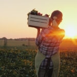 BBVA lanza la III edición de los Premios a los Mejores Productores Sostenibles de España BBVA lanza la III edición de los Premios a los Mejores Productores Sostenibles de España