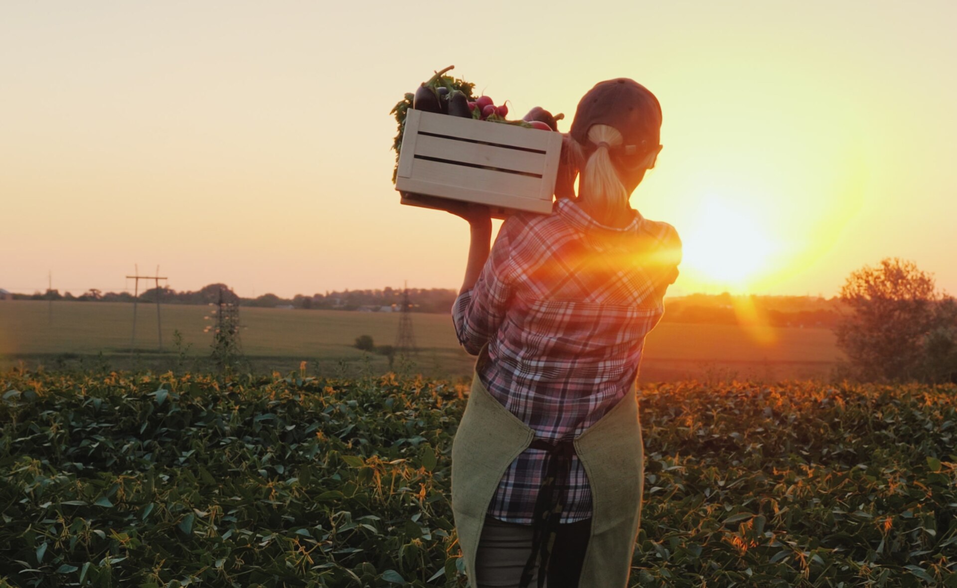 BBVA lanza la III edición de los Premios a los Mejores Productores Sostenibles de España BBVA lanza la III edición de los Premios a los Mejores Productores Sostenibles de España