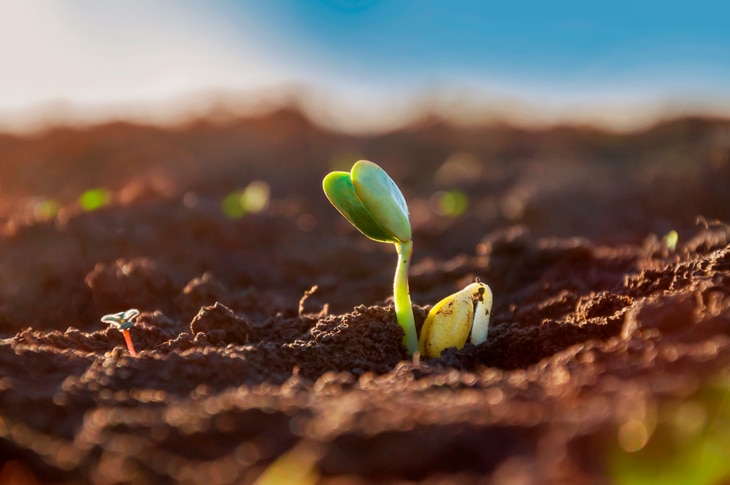 En 2021 se emitieron a la atmósfera 33.000 millones de toneladas de dióxido de carbono (CO2). Reducirlas hasta la mínima expresión es el gran reto de la humanidad. Por ahora, existen indicios sólidos de que las políticas climáticas y las estrategias de transición energética empiezan a funcionar. ¿Cuál es el camino para lograr la descarbonización?