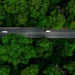 ¿Existe la posibilidad de construir carreteras de carbono negativo?