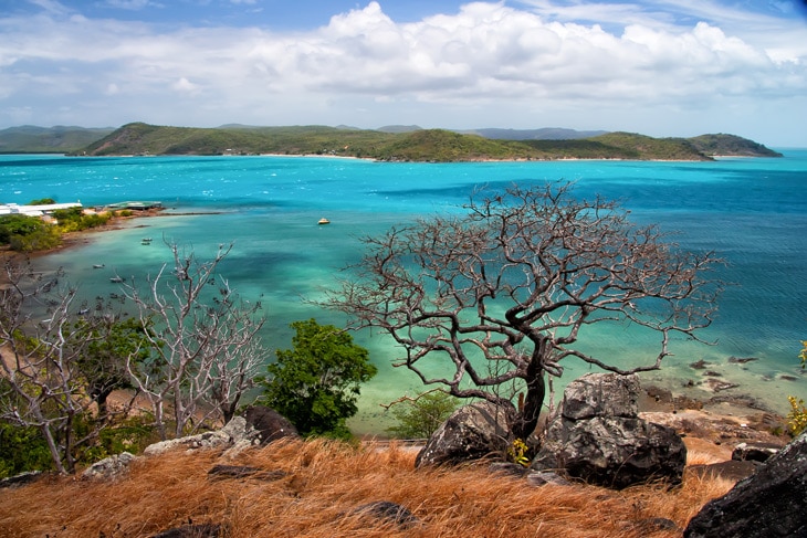 La ONU acaba de reconocer las tres primeras extinciones de animales por culpa del cambio climático. El ascenso del nivel del mar, una ola de calor y cambios en el ecosistema están detrás de su desaparición. Las tres primeras especies extinguidas por el cambio climático