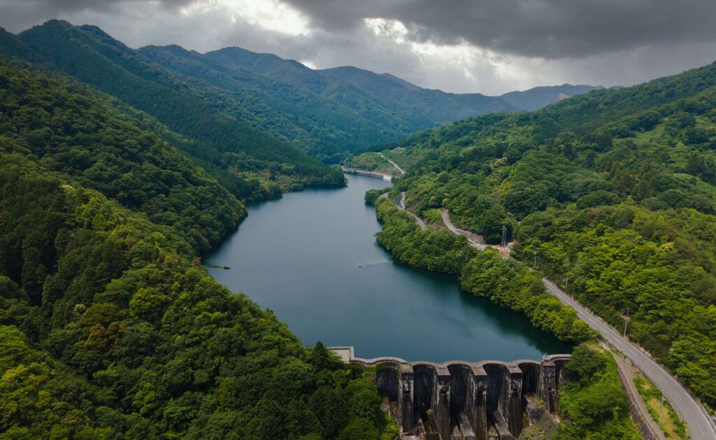 Los árboles absorben un tercio del dióxido de carbono (CO2) que los humanos generamos y al mismo tiempo son emisores. La reforestación es positiva, pero hacerla sin control puede tener un impacto indeseado sobre la biodiversidad. Reforestar ayuda pero no es la única solución para absorber CO2