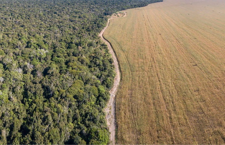 Los indígenas son los mejores guardianes de la biodiversidad Los indígenas son los mejores guardianes de la biodiversidad