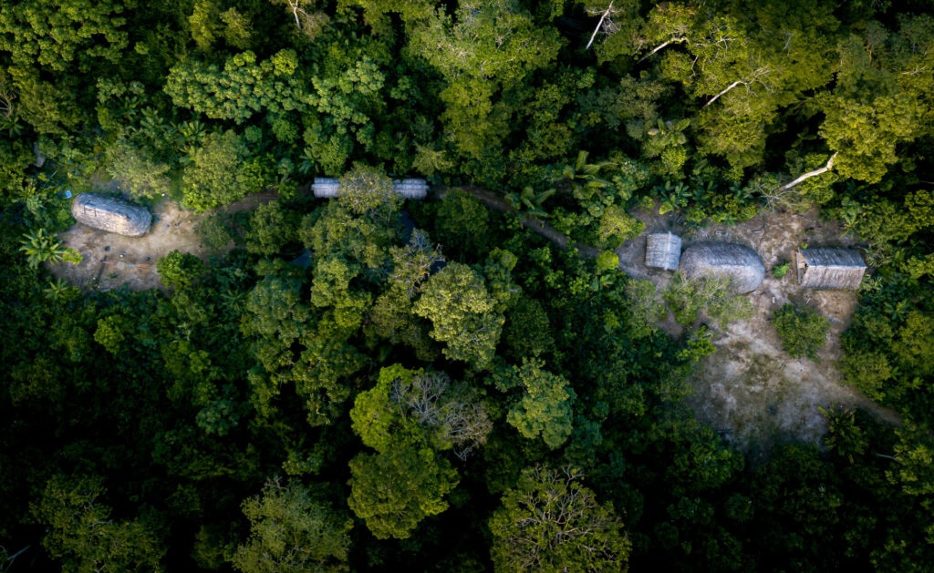 Los indígenas son los mejores guardianes de la biodiversidad Los indígenas son los mejores guardianes de la biodiversidad