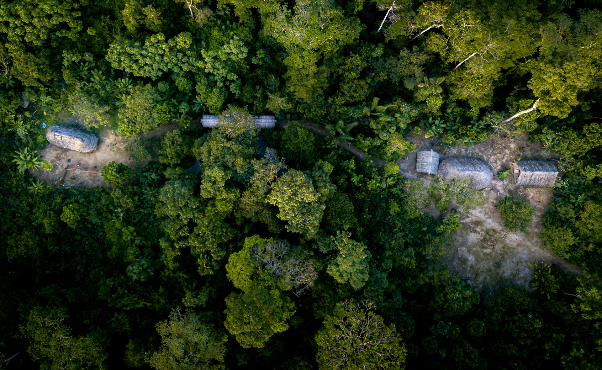 Los indígenas son los mejores guardianes de la biodiversidad