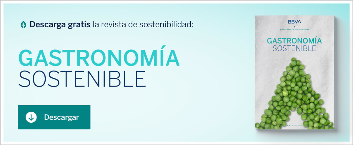 Monográfico de BBVA ‘Gastronomía sostenible’: lo que comes repercute en tu salud y en la del planeta