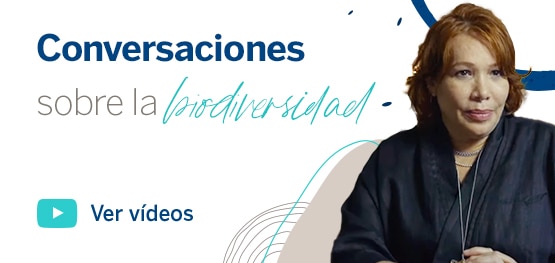 conversaciones-biodiversidad-sembrando-futuro-BBVA