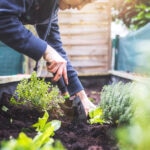 Tipos de huertos para cultivar en casa y los beneficios que aportan